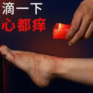 西檬之家k9犬系入门指南：如何在字母圈中探索与实践 一