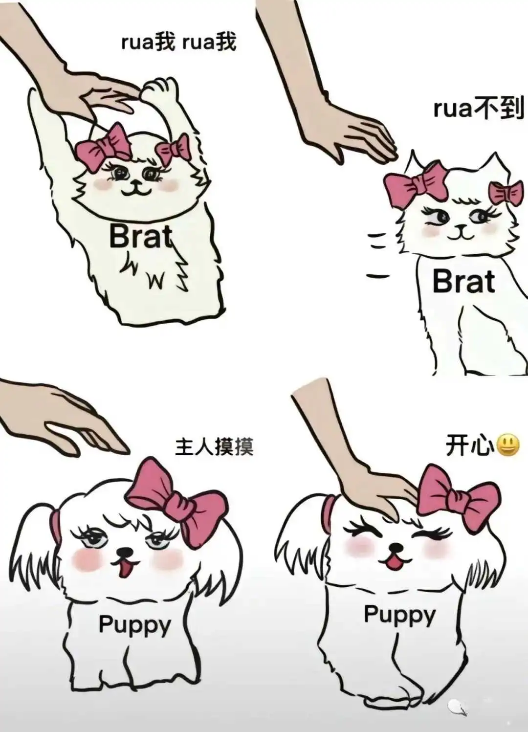 西檬之家spank是什么？探讨其在字母圈中的意义与实践 一