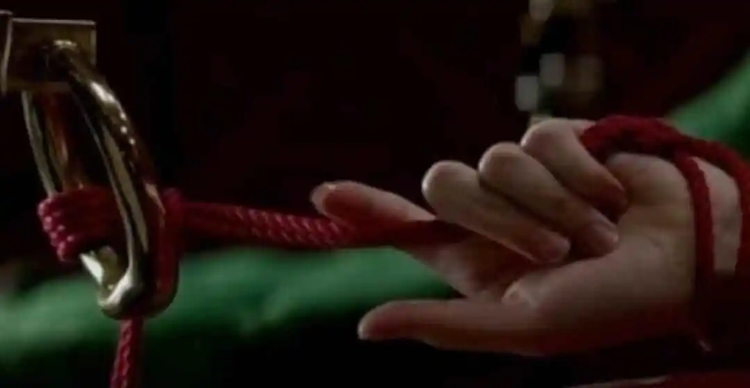 西檬之家管教技巧全解析，字母圈新人必看！ 一