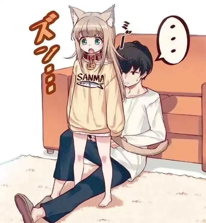 西檬之家S属性解析：如何在字母圈中找到你的独特角色 一